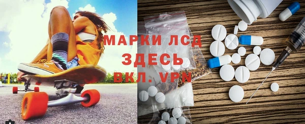 прущие грибы Абаза