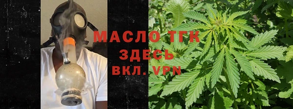 прущие грибы Абаза