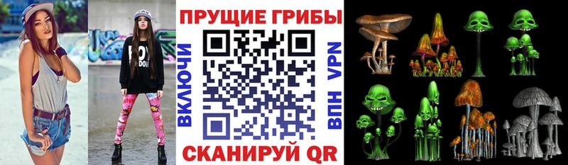Псилоцибиновые грибы GOLDEN TEACHER  Новочеркасск 