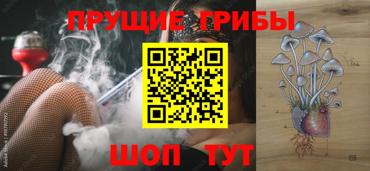 Галлюциногенные грибы Magic Shrooms Новочеркасск