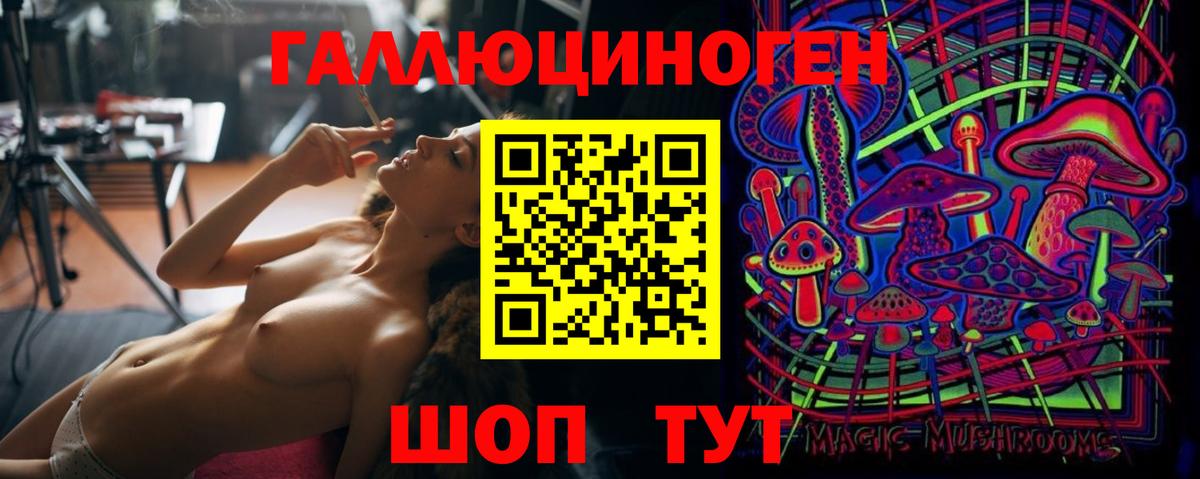 Новочеркасск  Псилоцибиновые грибы Psilocybine cubensis  Вход с VPN 